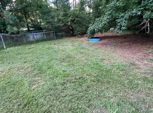 Cleanups by Cory McLean for Donna E. in Clayton, NC