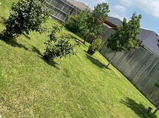 Linda R.'s Lawn Mowing service result