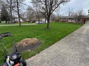 Orval H.'s Lawn Mowing Service service result