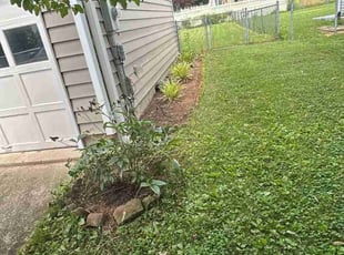 Cleanups by Icaro Dos Santos for Megan C. in Frederick, MD