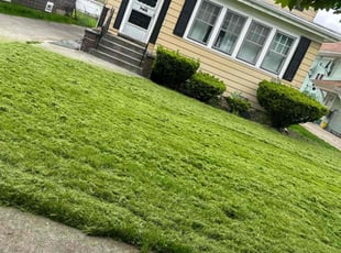 Ryan M.'s Lawn Care service result