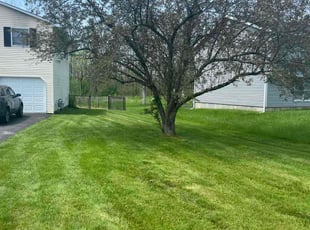 CLARA I.'s Lawn Service service result