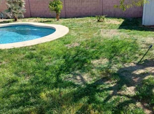 Weeding by Marvin Gray for Brenda R. in Phoenix, AZ