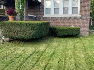 Bush Trimming by Gregory Williams for Glen M. in Detroit, MI