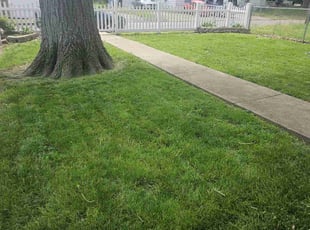 TERRY H.'s Lawn Care service result