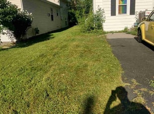 Louie D.'s Grass Cutting service result