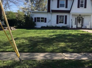 Taffina A.'s Lawn Service service result