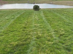 Rafael M.'s Lawn Care service result