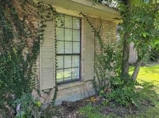 Bush Trimming by Christopher Webb for Corrie M. in Gonzales, LA