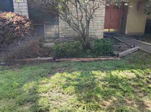 Bush Trimming by Francisco A Monrroy Velasquez for Paul H. in San Antonio, TX