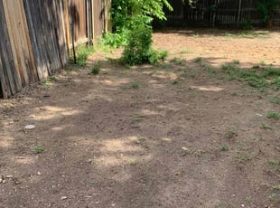 Bush Trimming by Tylon Newcomb for Claire W. in Aurora, CO
