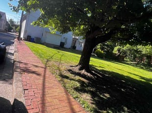Tracy B.'s Yard Cutting service result