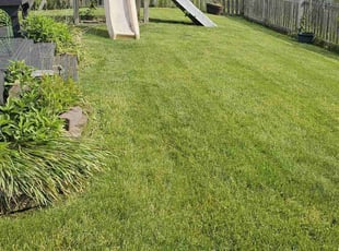 Steven C.'s Lawn Mowing service result