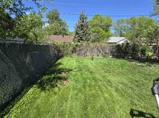 Rich M.'s Lawn Mowing service result