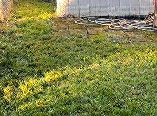Margaret S.'s Lawn Care service result