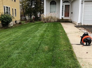 Cleanups by Chris Wimler for Goziem M. in Hartford, CT