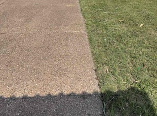Weeding by Heriberto Lopez for Mike L. in Corpus Christi, TX