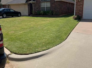 Dianna A.'s Lawn Mowing Service service result