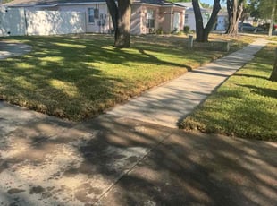Sri K.'s Lawn Mowing Service service result