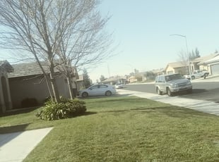 Bush Trimming by Jennifer Ortiz for Melissa A. in Fresno, CA
