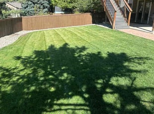 Jay K.'s Lawn Mowing service result