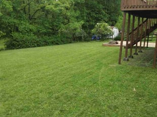 Shawna J.'s Lawn Mowing service result