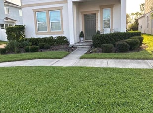 Weeding by Elvis Pintado for Aida H. in Odessa, FL
