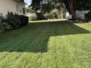 Avis Celeste J.'s Lawn Care service result