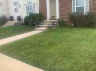 Lester G.'s Yard Cutting service result