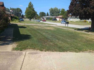 DeIvory H.'s Lawn Care service result