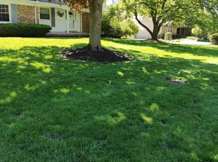 Ken S.'s Lawn Care service result