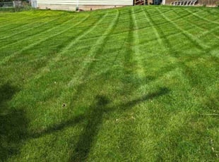 Theresa D.'s Lawn Mowing Service service result