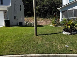 Erica S.'s Lawn Care service result