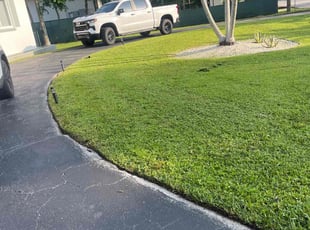 Adan C.'s Lawn Mowing Service service result