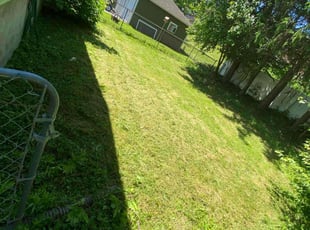 Rozalyn L.'s Grass Cutting service result