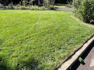 Emmett W.'s Lawn Care service result