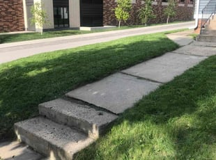 Kai C.'s Lawn Maintenance service result