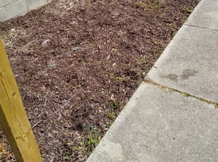Weeding by Kevin Wilcox for Imani P. in Henrico, VA
