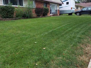 Kevin L.'s Grass Cutting service result