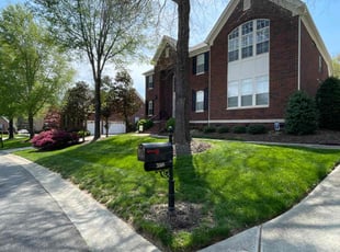 Jordana T.'s Yard Cutting service result