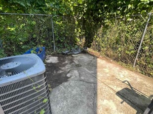 Bush Trimming by Darren Burch for Lewis W. in Philadelphia, PA