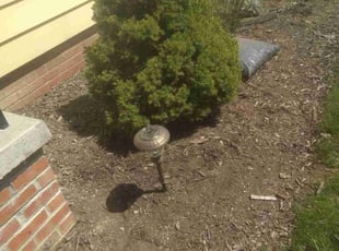 Weeding by Elizabeth Williams for Laura T. in Middleburg Heights, OH