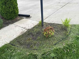 Weeding by Justin Crowder for Chris P. in Chesterfield, VA