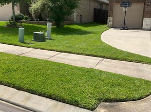 Tamesha A.'s Lawn Mowing service result