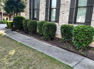 Bush Trimming by shuntwon Barnett for Earl D. in Lawrenceville, GA