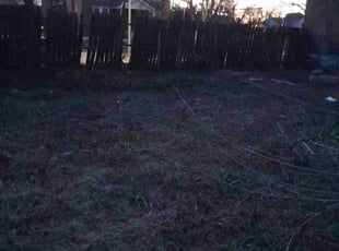 Leaf Removal by Robert Sisk for Alexis P. in St. Louis, MO