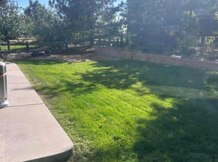 Kathryn L.'s Grass Cutting service result