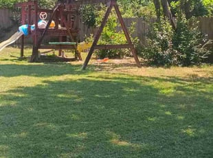 Robert H.'s Lawn Care service result