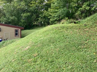 Katina G.'s Lawn Service service result