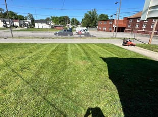 Cristobal c.'s Grass Cutting service result